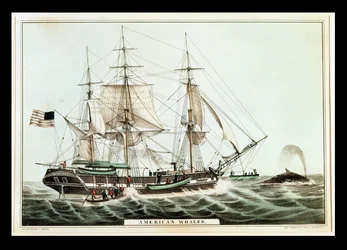 Baleinier américain, gravé par Nathaniel Currier